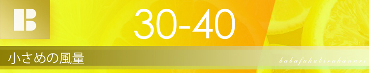 ブロアー風量30-40