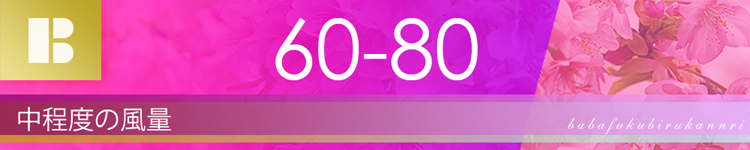 ブロアー風量60-80