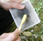 ブロアーのメンテナンス