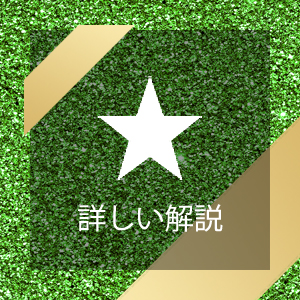 より詳しい解説