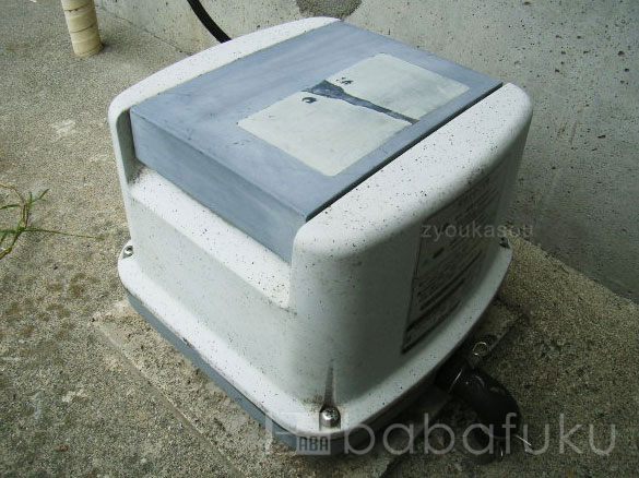 ナショナルSAF(SAD)-30～60