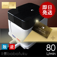 ブロアー安永EP80E-L(左)