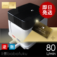 ブロアー安永EP80E-R(右)